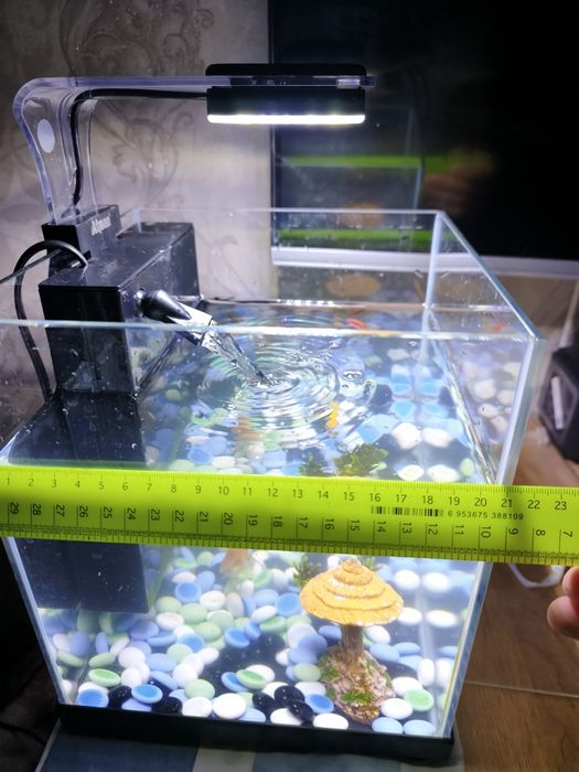 Аквариум атман 4та баликлари билан