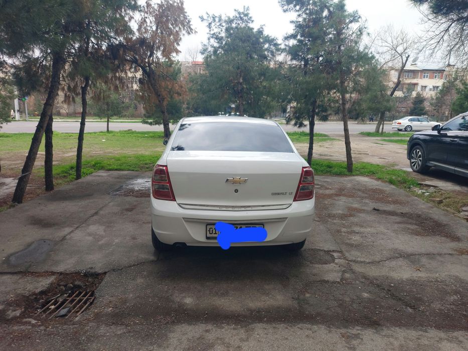 Oq Cobalt 2021yil