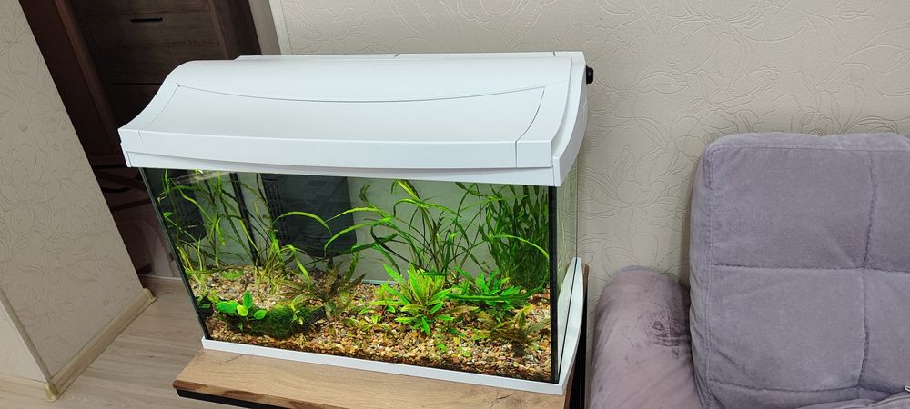 Аквариум Tetra 60 литров