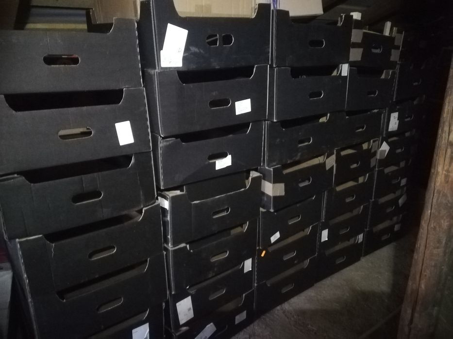 Cutii de cartoane pentru mere .