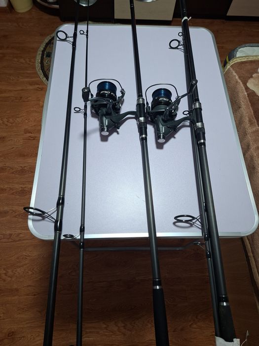 Lansete pescuit crap.