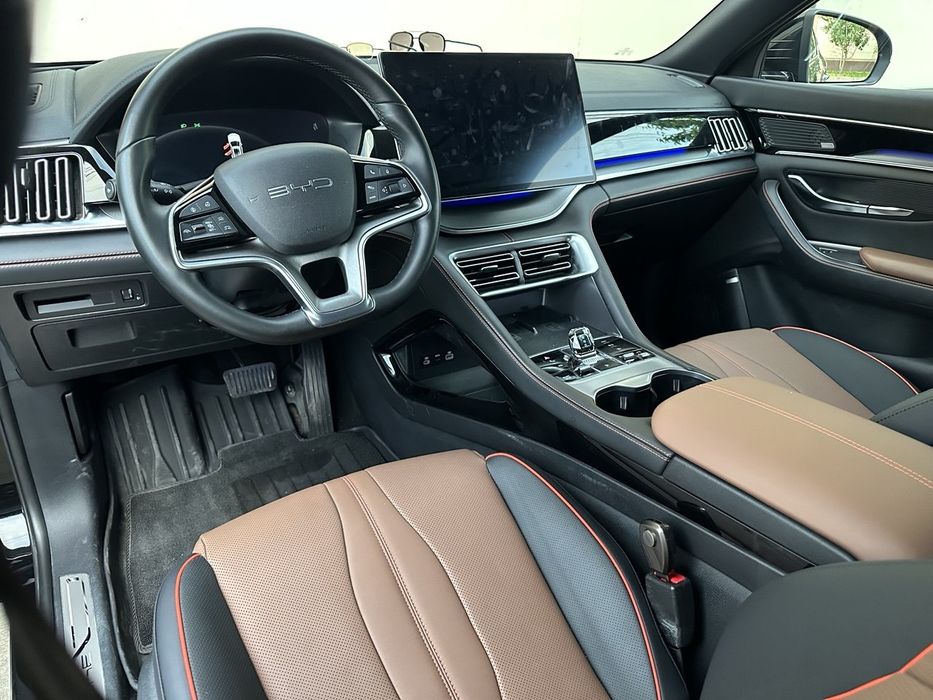 Champion d-mi hybrid Ofitsalniy