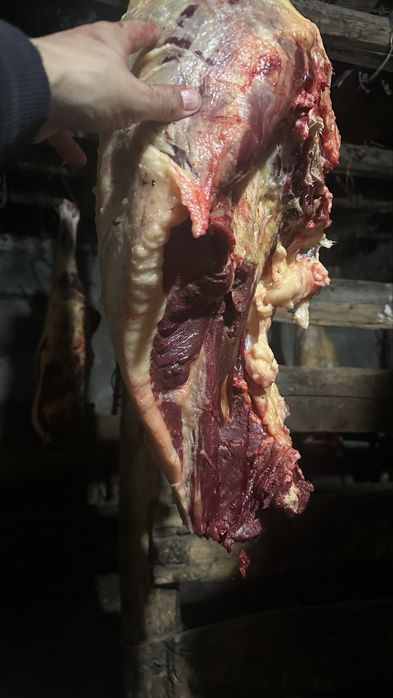 Касапшы, мясник , ет бузу