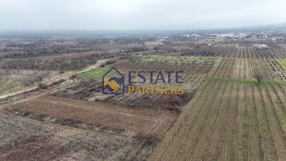 Продава се Парцел в с. Браниполе, Област Пловдив - 991 кв.м за 18 €/кв.м - Снимка #2