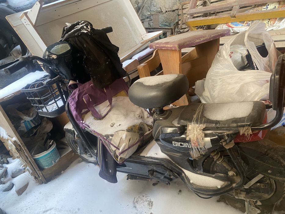 электомопет торг