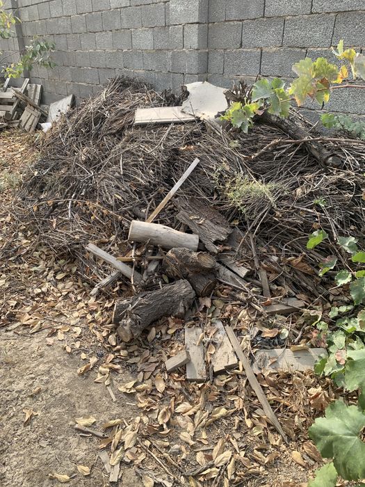 Дрова отын кара талдан шықты