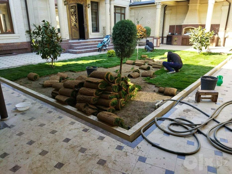 Sifatli va arzon narxlarga Gazon Landshaft xizmatlarimizga nima deysiz