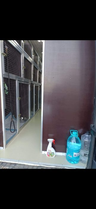 Vând cuști pentru transport animale