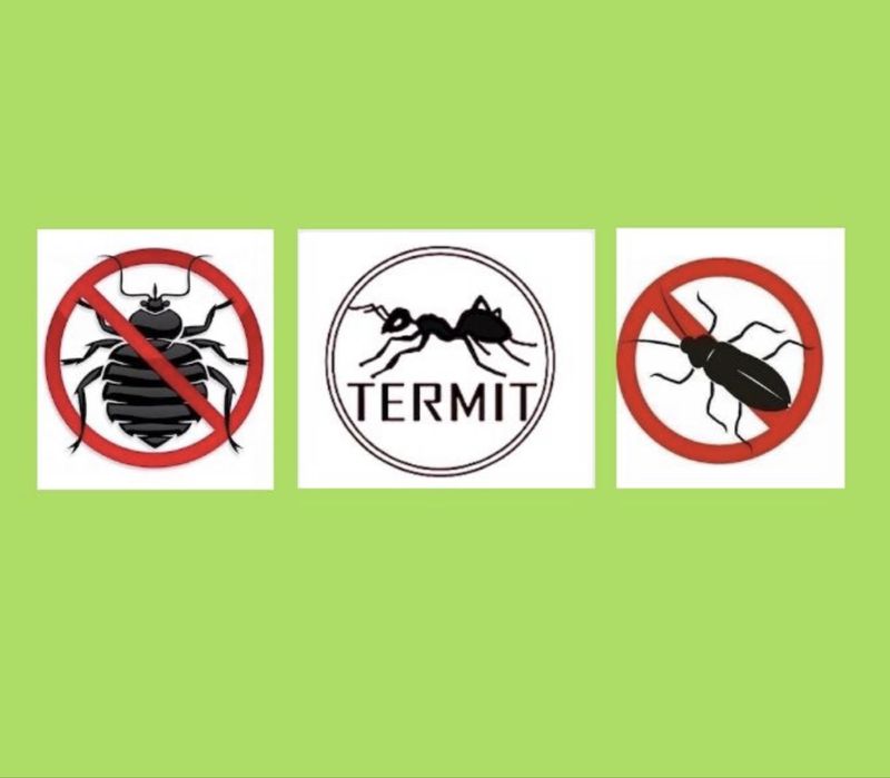 Обработка клопы, тараканы, термиты