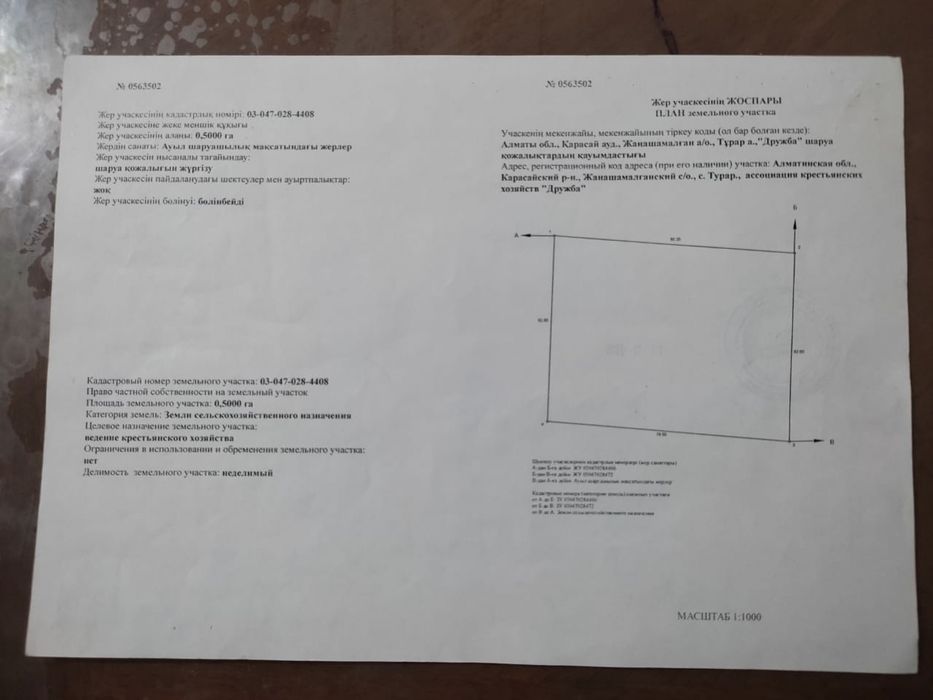 Крестянское хозяство участок