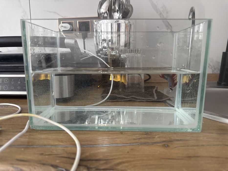 Продам аквариум с рыбкой