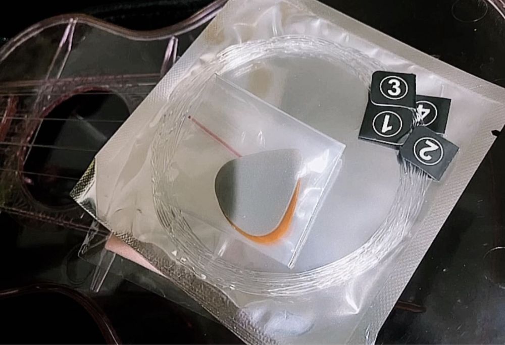 Гавайская гитара, укулеле