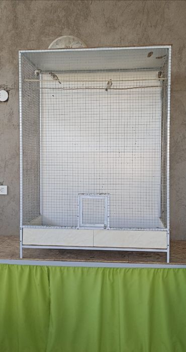 Вольер клетка с щеглами