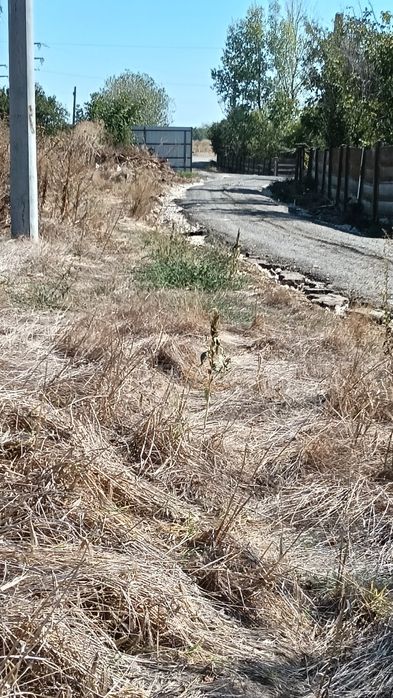 Teren Vidra Berceni  Ilfov