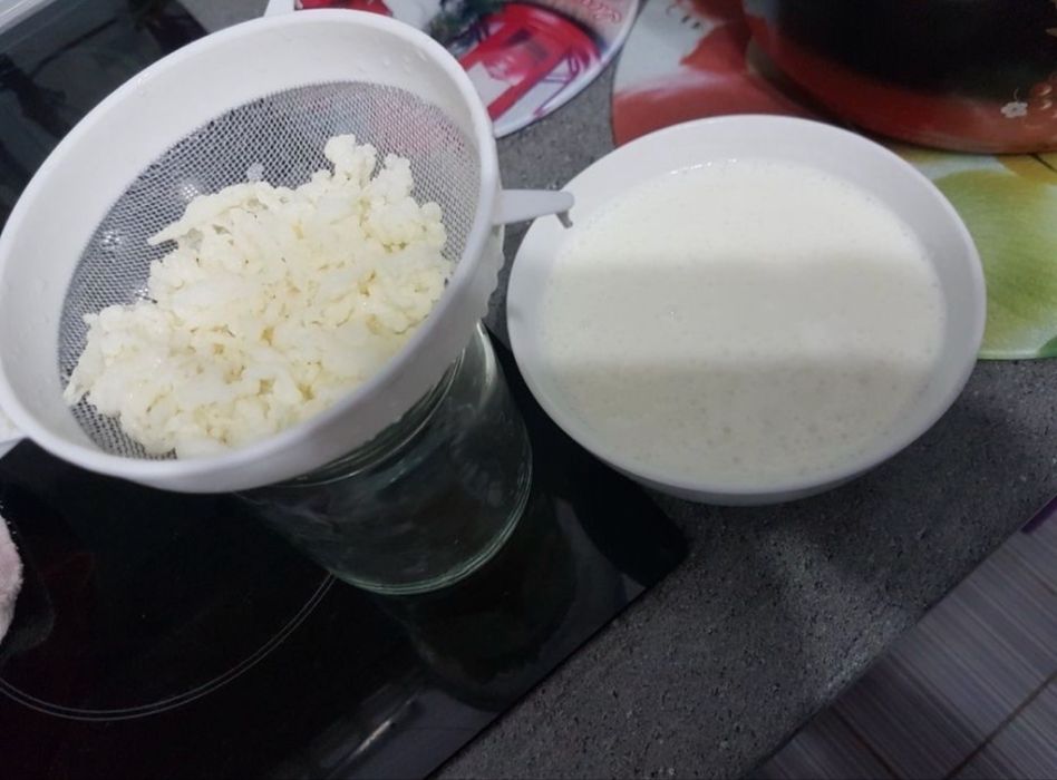 Тибетский молочный гриб