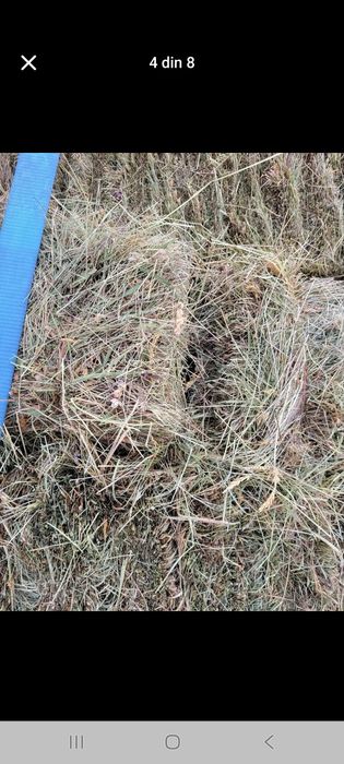 Baloti de fan de vanzare