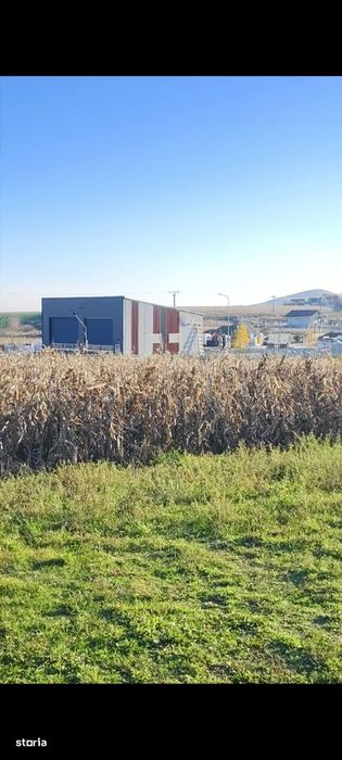 Teren intravilan DJ Bacau-Statiunea Sarata Bai
