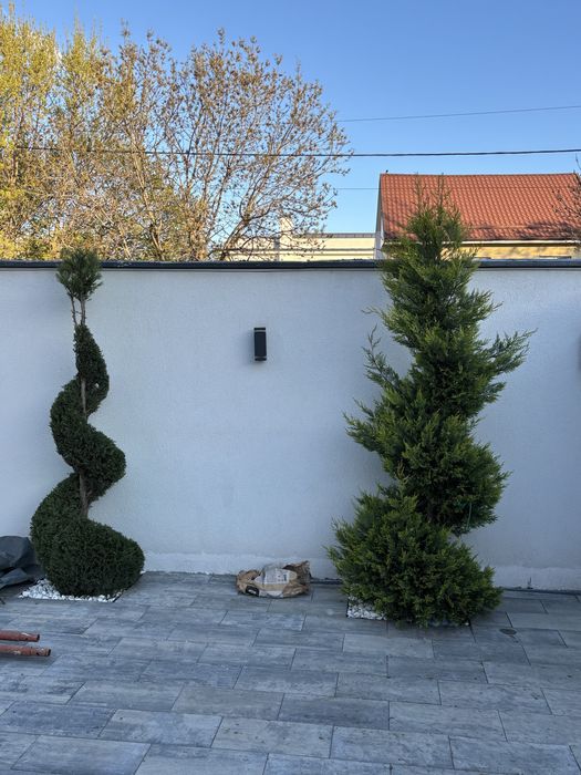 Amenajari si intretineri spatii verzi