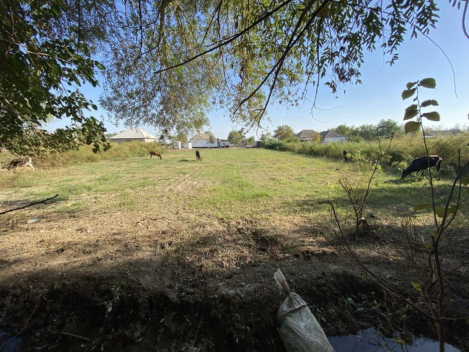 Продается дом! Срочно!