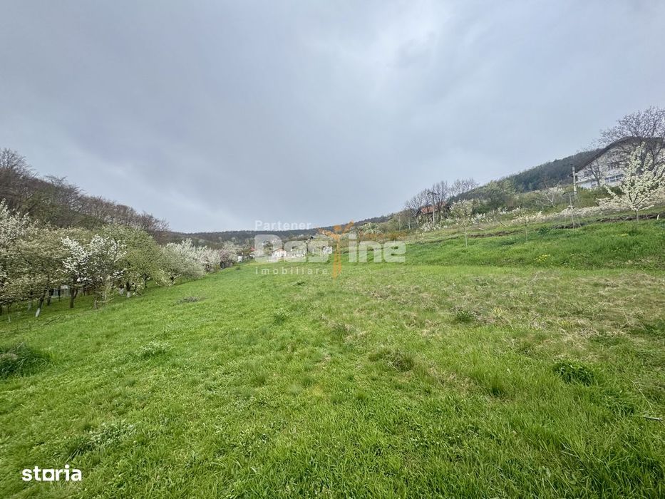 Teren intravilan Deva- Roci