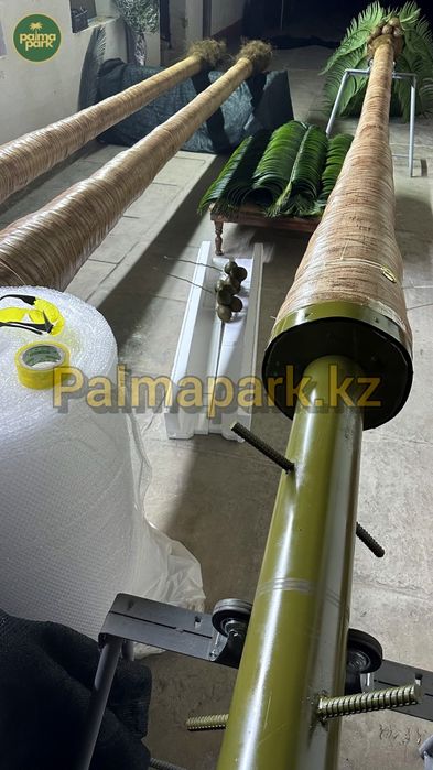 Пальма, искусственные пальмы