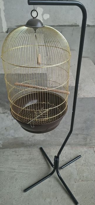 To'ti qafas yaxshi holatda