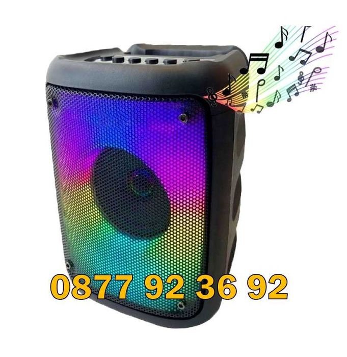 6.5" ПРОМОЦИЯ караоке колона, активна тонколона, модел: KTS-1578