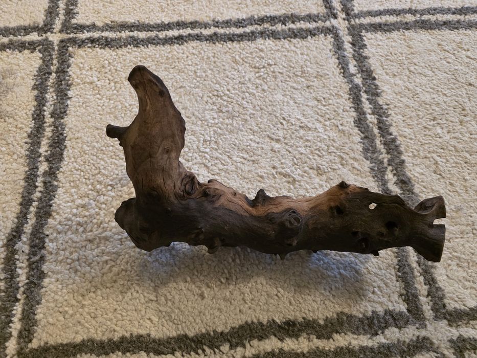 Decor acvariu , terrariu