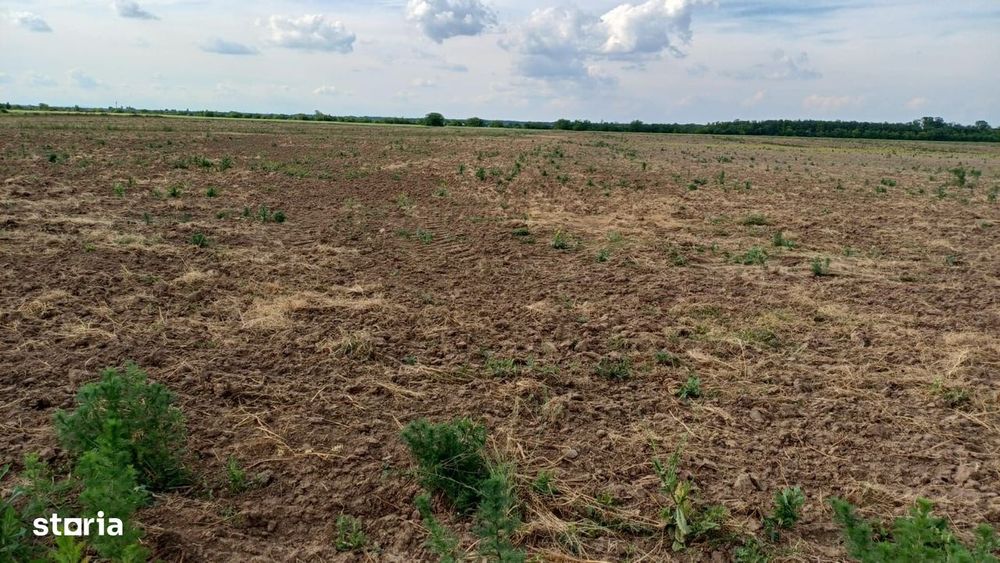 Teren intravilan de vanzare | Peris | 10.000 mp | Investitie sigura