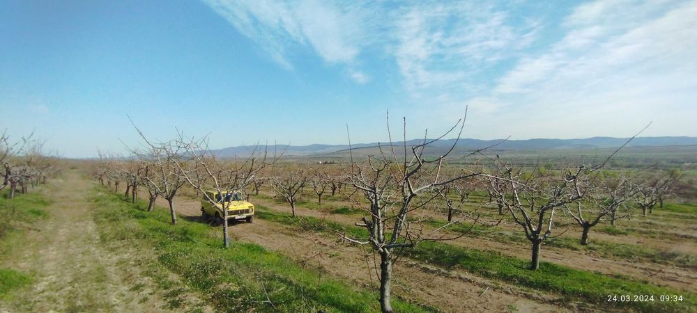 Продава се Земеделски имот в София, Надежда 4 -  кв.м за 2040 €/дка - Снимка #3