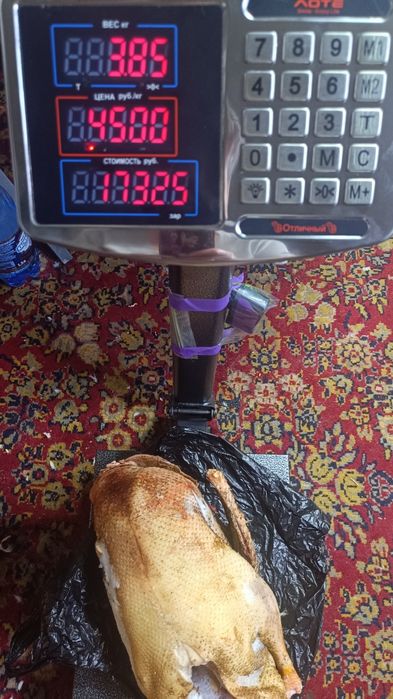 Продам мясо гусей.