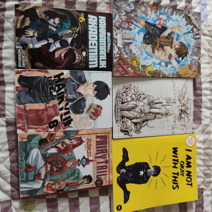 книги/манги на турецком.