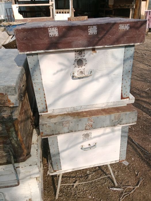 Улья для пчеловодства