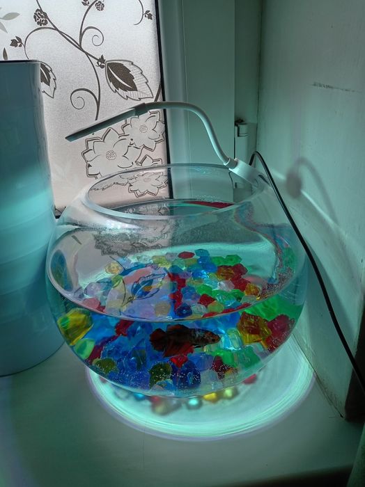 Продаётся аквариум 6 Л