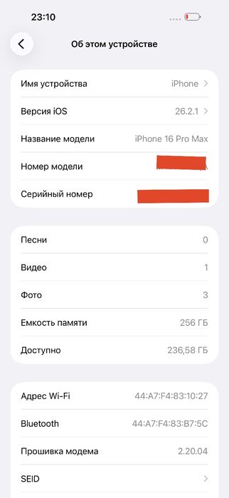 iPhone 16 Pro Max 256GB. 100%