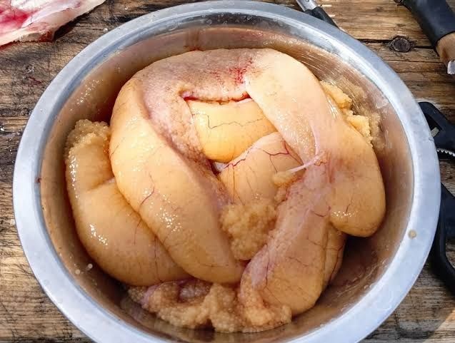 Щучи икра принимаем оптовый сырец