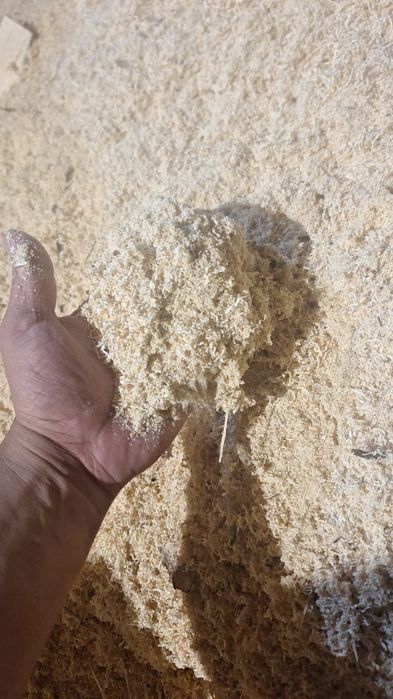 Продаю стружку 10 кубов.