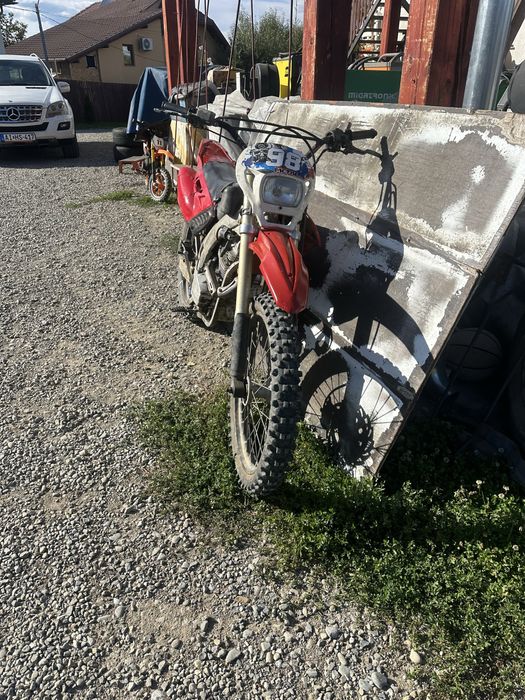 Cross zonghsen(americana) 250