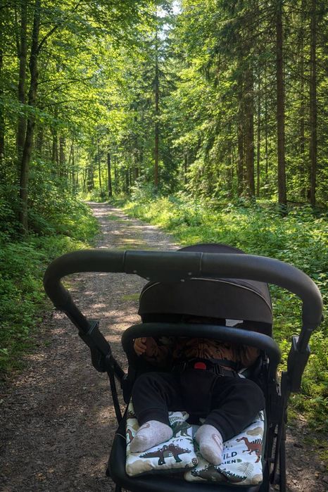 Коляска ining baby t60