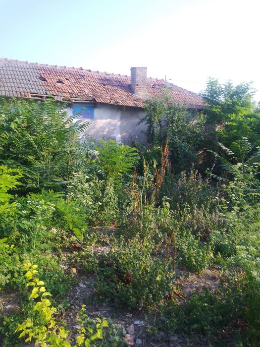 Teren intravilan mosneni