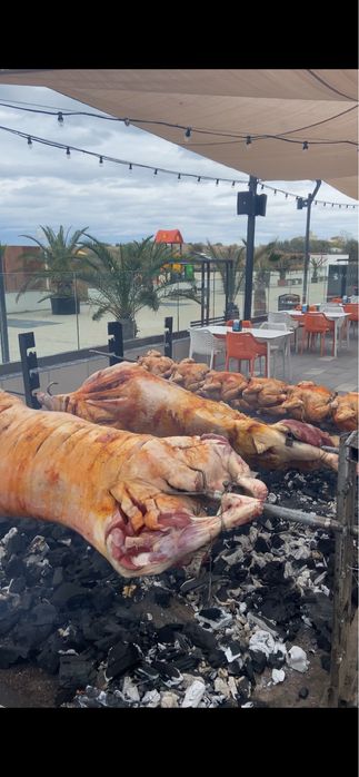 Vand Remorca PROTAP omologata