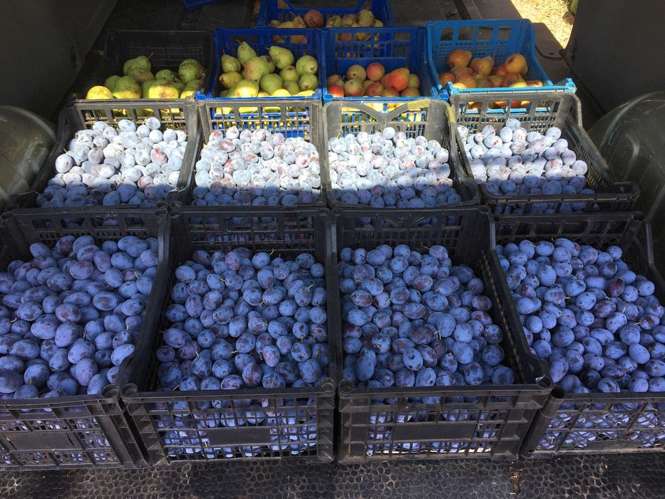 Magiun de prune, silvoita ardeleneasca autentica