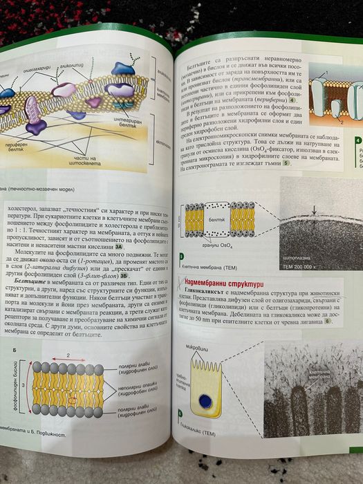 Учебници и по биология за 11 клас Модул 1