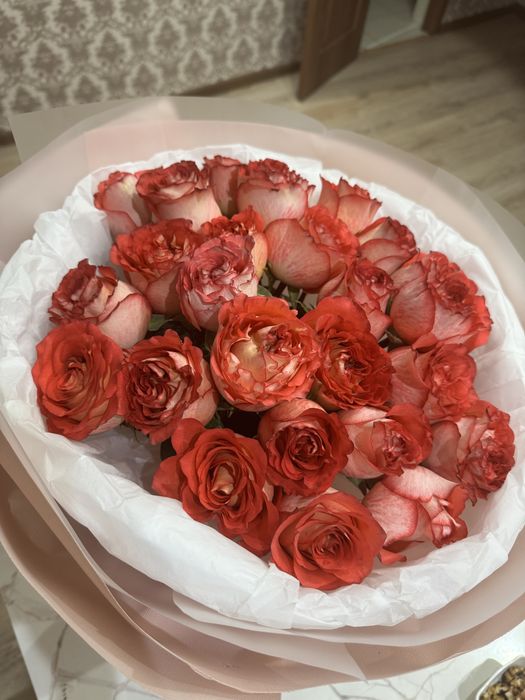 Продам цветы розы