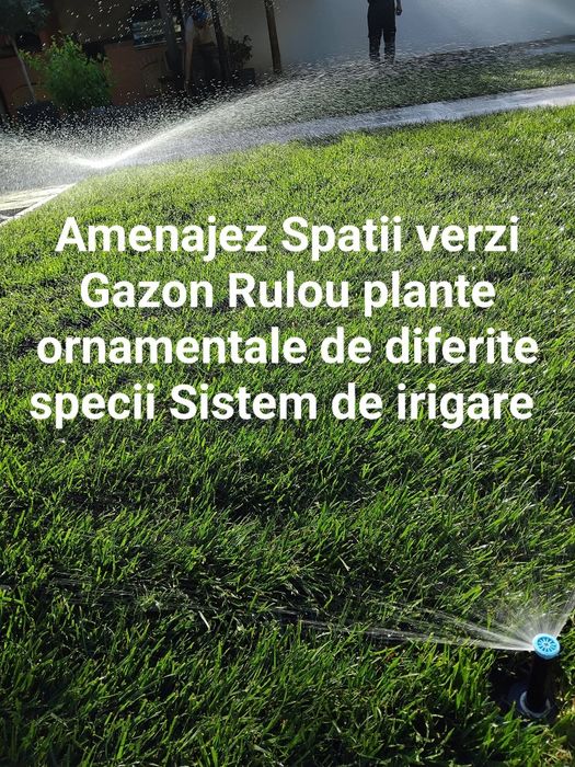 Gazon Rulou și Sistem de irigații