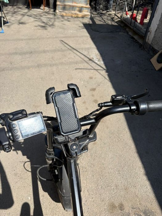 Электро велик леопард