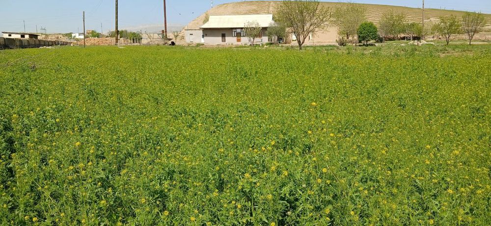 Uy Joy Sotiladi 3 xona uyi Oshxona Hammom Tualet bor