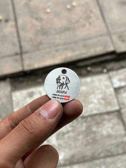 Адресник для собак и кошек с  индивидуальным надписями ошейник