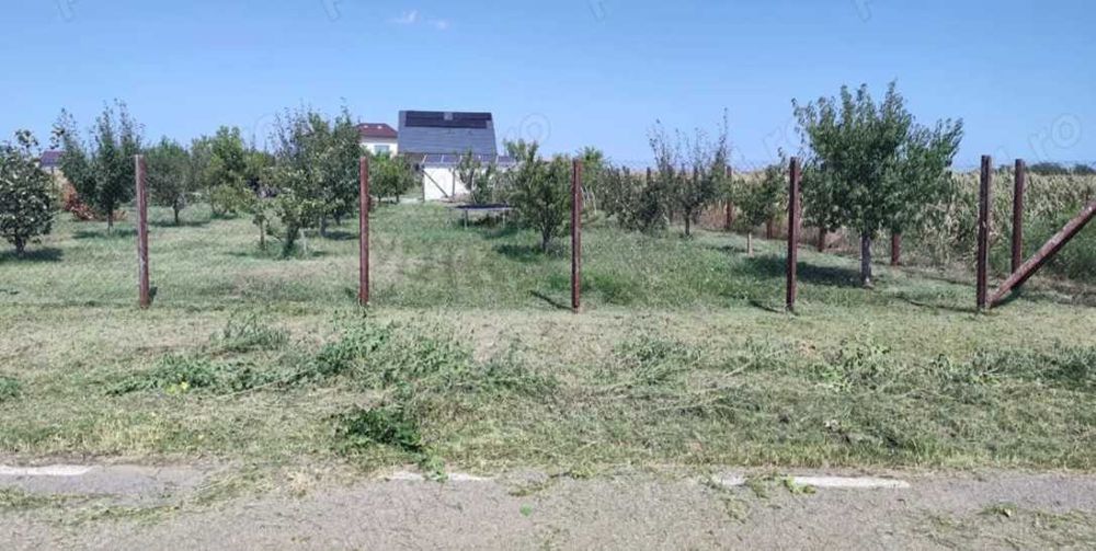 Teren intravilan 733 m², desch 22 m – str. Sportului (asfalt), Ulmi