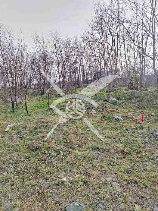 Продава се Парцел в Созопол - 2644 кв.м за 52 €/кв.м - Снимка #4